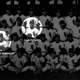 Illustration for article titled How A White Couple Stuck Up For Black Ballplayers In Jim Crow Florida